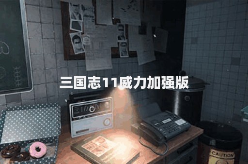 三国志11威力加强版