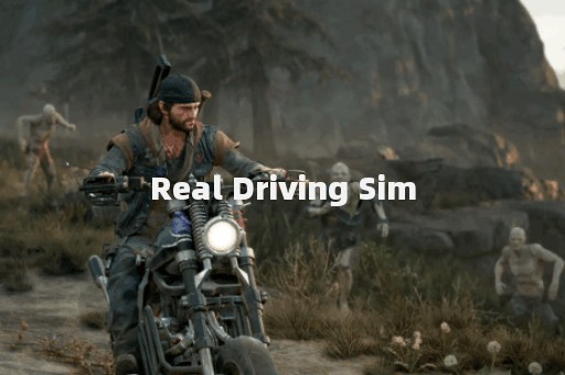 Real Driving Sim