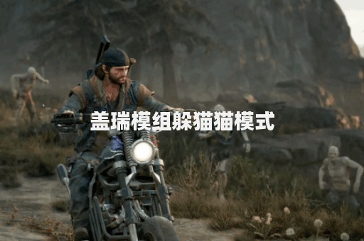 盖瑞模组躲猫猫模式