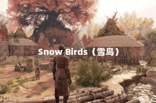 Snow Birds（雪鸟）
