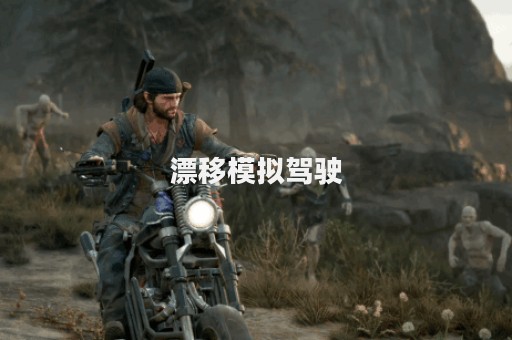 漂移模拟驾驶