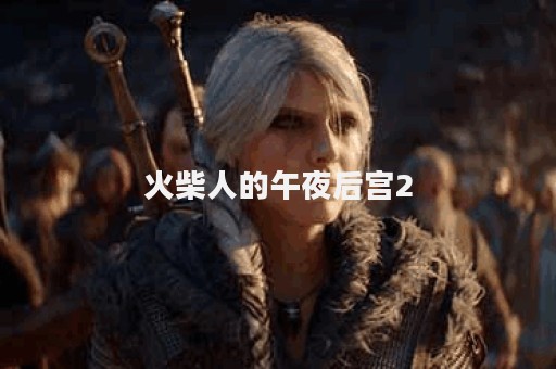 火柴人的午夜后宫2