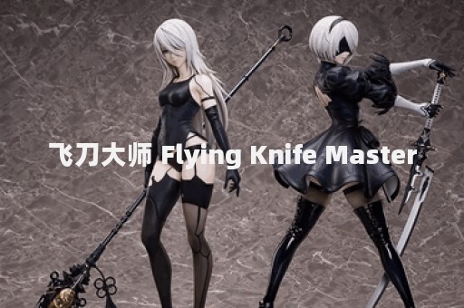 飞刀大师 Flying Knife Master
