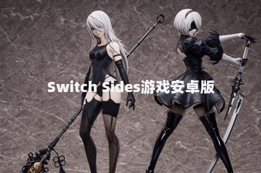Switch Sides游戏安卓版