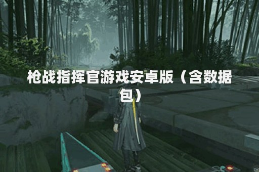 枪战指挥官游戏安卓版（含数据包）