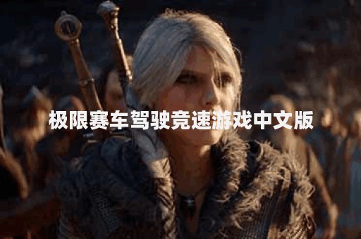 极限赛车驾驶竞速游戏中文版