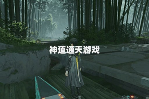 神道通天游戏