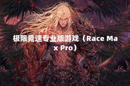 极限竞速专业版游戏（Race Max Pro）
