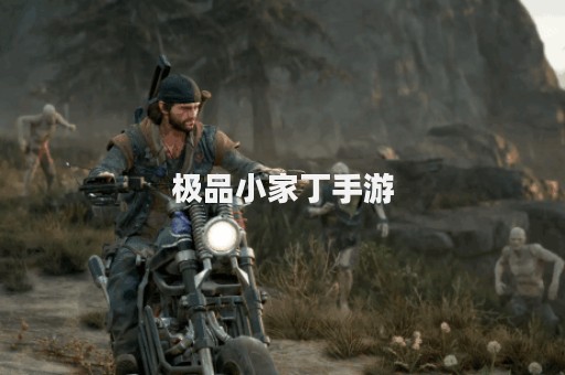 极品小家丁手游