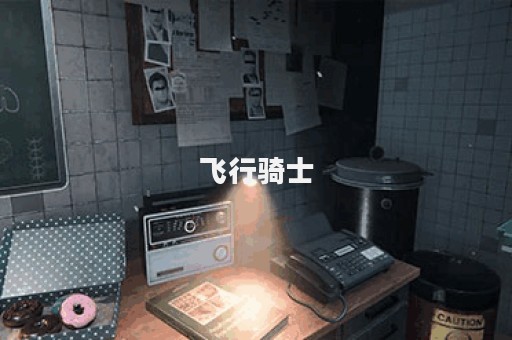 飞行骑士