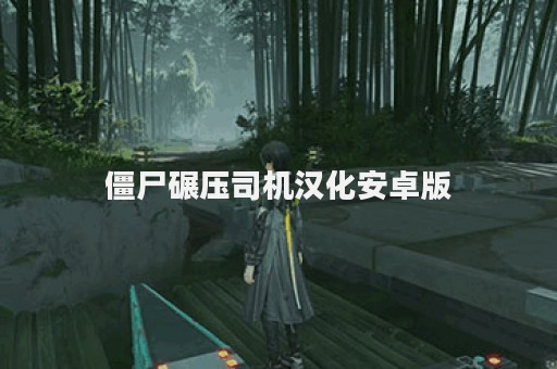 僵尸碾压司机汉化安卓版