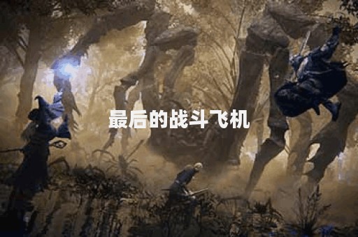 最后的战斗飞机