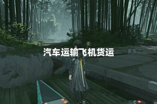 汽车运输飞机货运