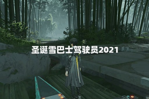 圣诞雪巴士驾驶员2021