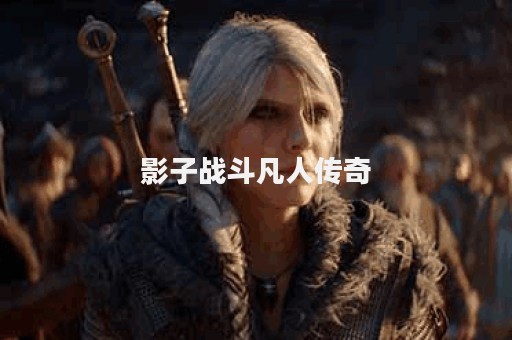 影子战斗凡人传奇