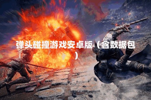 弹头碰撞游戏安卓版（含数据包）