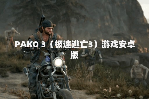 PAKO 3（极速逃亡3）游戏安卓版