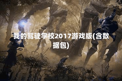 我的驾驶学校2017游戏版(含数据包)