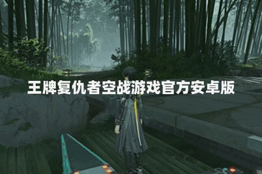 王牌复仇者空战游戏官方安卓版