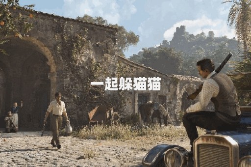 一起躲猫猫