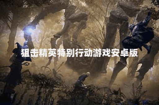 狙击精英特别行动游戏安卓版