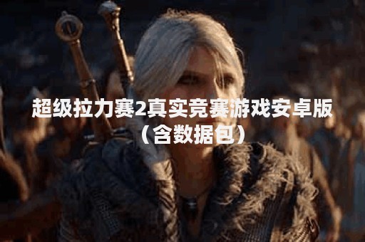 超级拉力赛2真实竞赛游戏安卓版（含数据包）