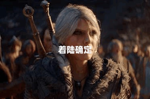 着陆确定