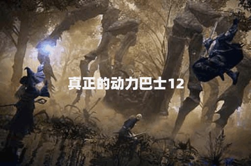 真正的动力巴士12