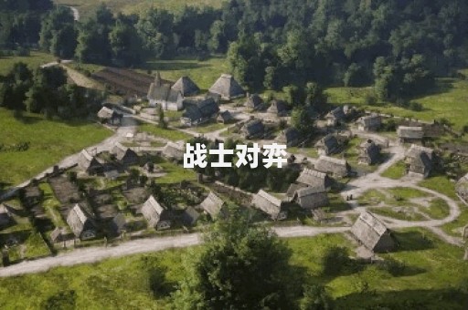 战士对弈