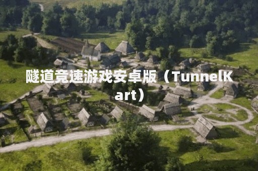 隧道竞速游戏安卓版（TunnelKart）