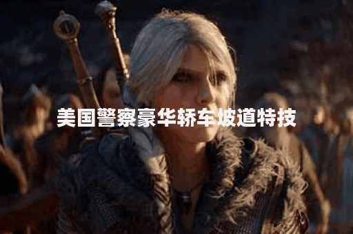 美国警察豪华轿车坡道特技