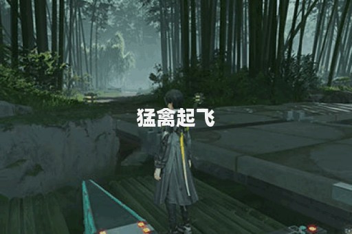 猛禽起飞