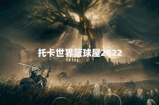 托卡世界篮球屋2022