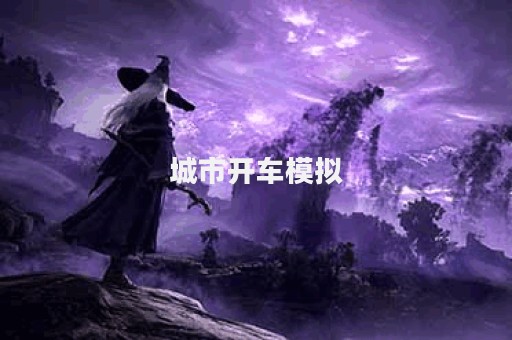 城市开车模拟