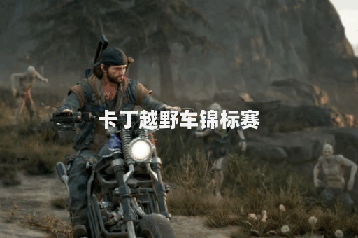 卡丁越野车锦标赛