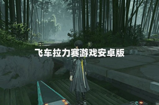 飞车拉力赛游戏安卓版