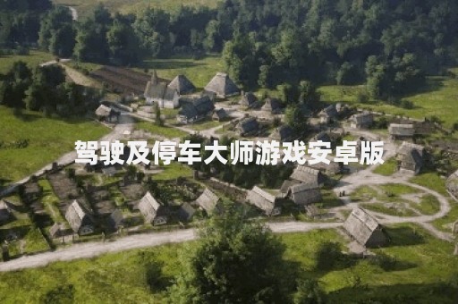 驾驶及停车大师游戏安卓版
