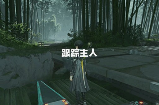 跟踪主人