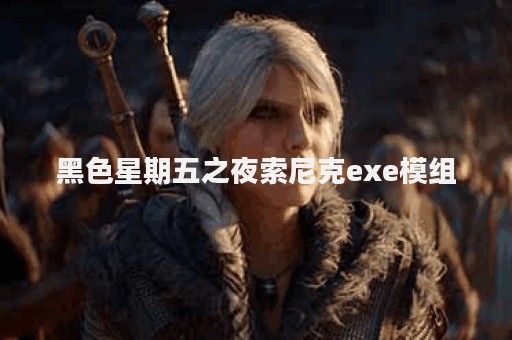 黑色星期五之夜索尼克exe模组
