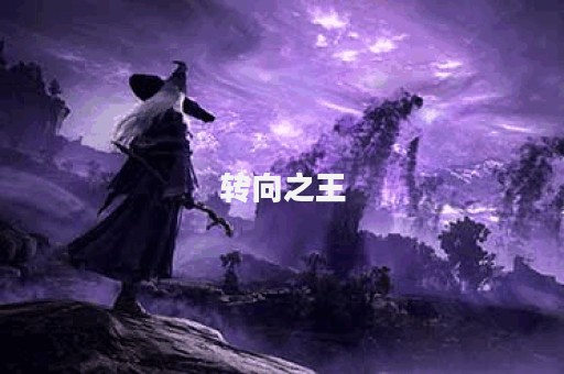 转向之王