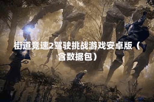 街道竞速2驾驶挑战游戏安卓版（含数据包）