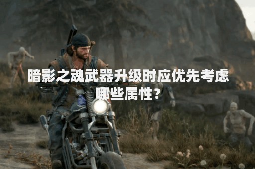 暗影之魂武器升级时应优先考虑哪些属性？