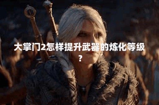 大掌门2怎样提升武器的炼化等级？