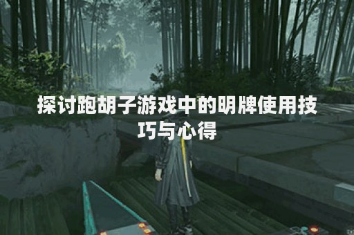 探讨跑胡子游戏中的明牌使用技巧与心得
