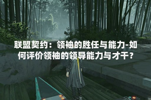 联盟契约：领袖的胜任与能力-如何评价领袖的领导能力与才干？