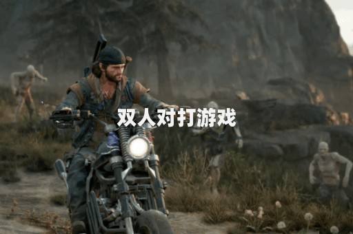 双人对打游戏