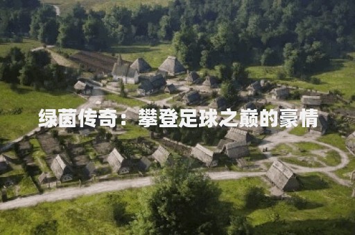 绿茵传奇：攀登足球之巅的豪情