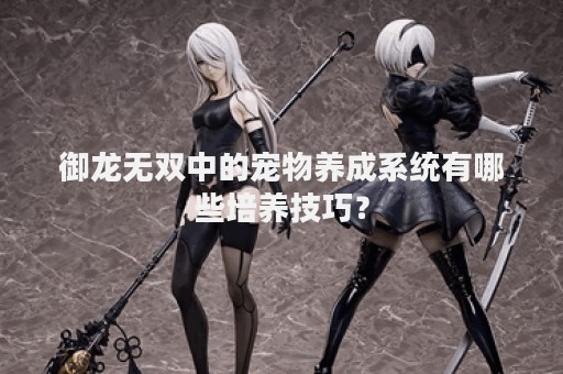 御龙无双中的宠物养成系统有哪些培养技巧？