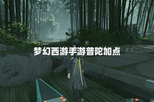 梦幻西游手游普陀加点