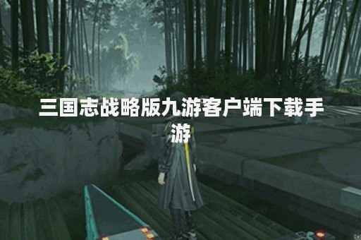 三国志战略版九游客户端下载手游